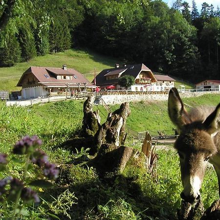 Ferienwohnung Hochsteinalm 트라운키르헨 외부 사진