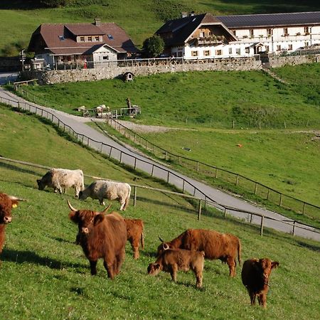 Ferienwohnung Hochsteinalm 트라운키르헨 외부 사진
