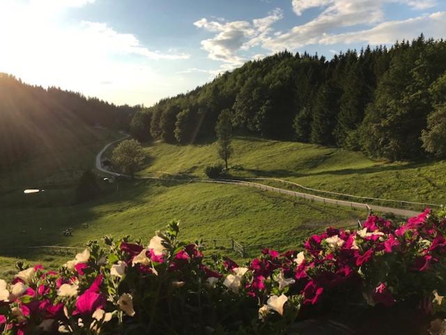 Ferienwohnung Hochsteinalm 트라운키르헨 외부 사진