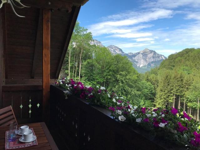 Ferienwohnung Hochsteinalm 트라운키르헨 외부 사진