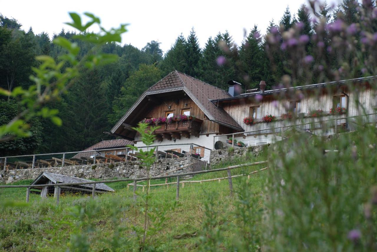 Ferienwohnung Hochsteinalm 트라운키르헨 외부 사진